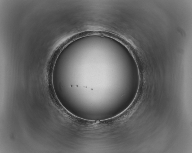 X0000111171311200907081206