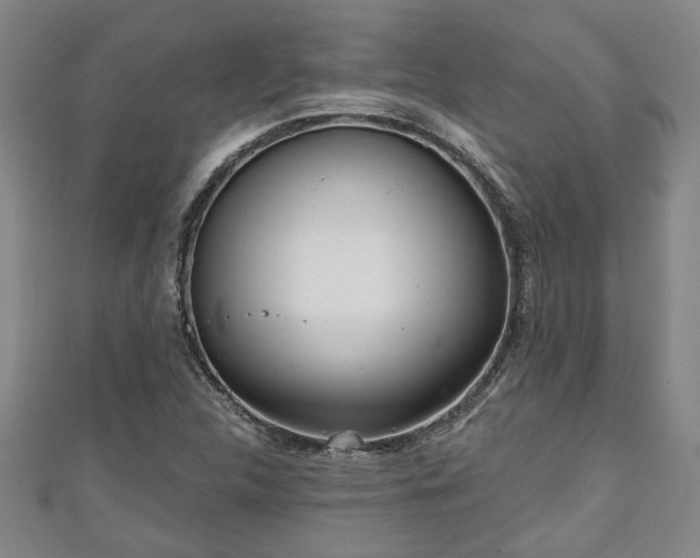 X0000111171312200907081206