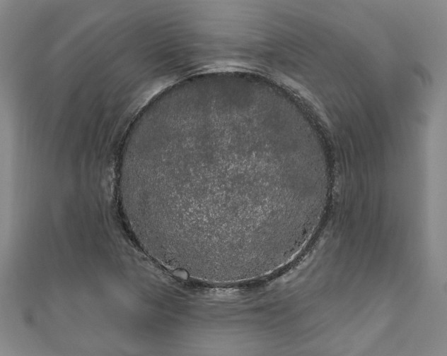 X0000111171313200907081206