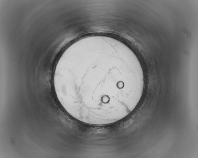 X0000111171314200907081206