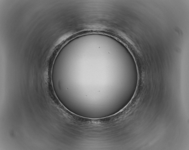 X0000111171315200907081206