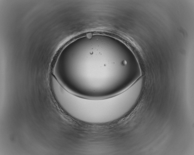 X0000111171316200907081206