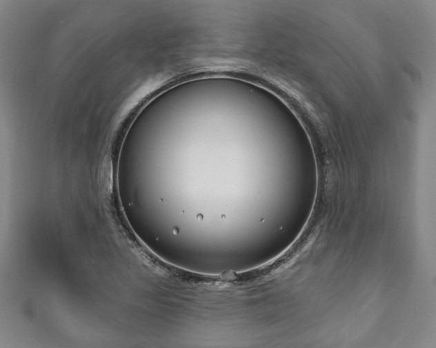 X0000111171317200907081206