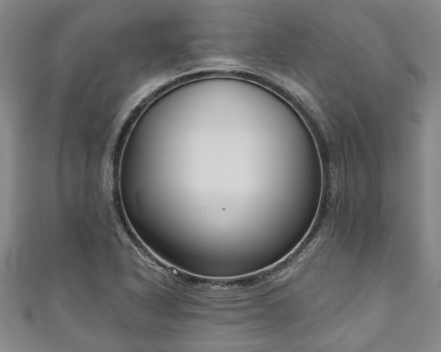 X0000111171318200907081206