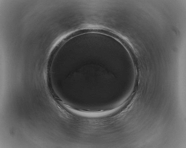 X0000111171319200907081206