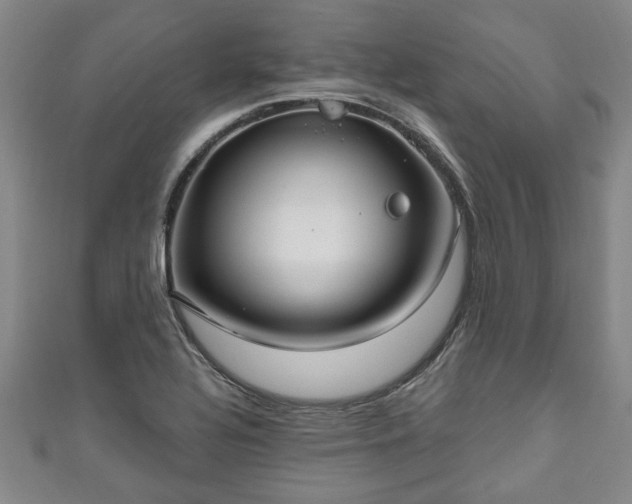 X0000111171320200907081206