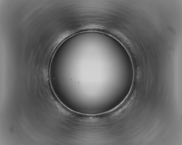 X0000111171321200907081206