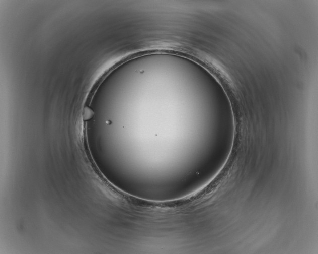 X0000111171324200907081206