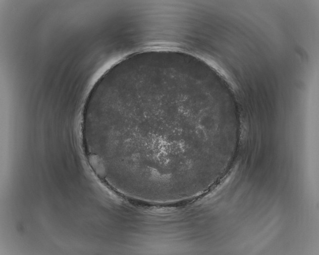 X0000111171325200907081206