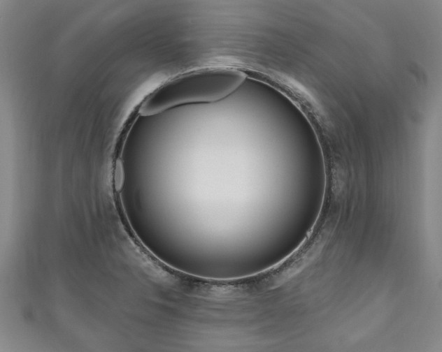 X0000111171326200907081206