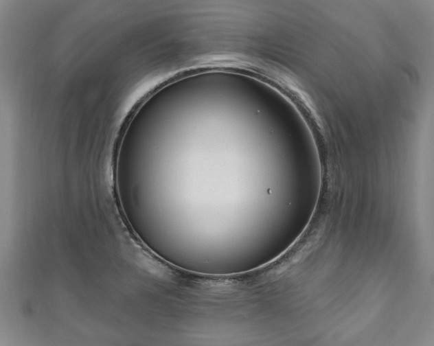 X0000111171328200907081206