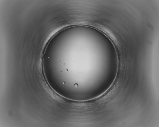 X0000111171332200907081207