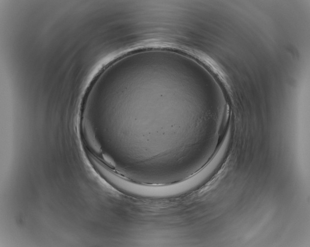 X0000111171334200907081207