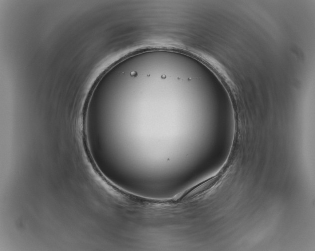 X0000111171335200907081207