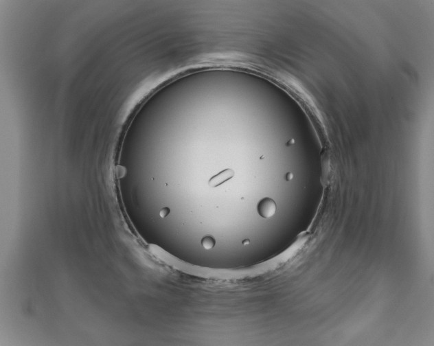 X0000111171336200907081207