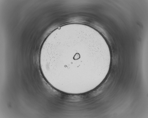 X0000111171338200907081207