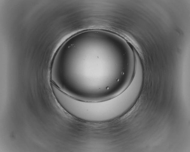 X0000111171340200907081207