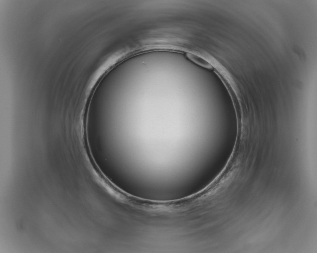 X0000111171341200907081207