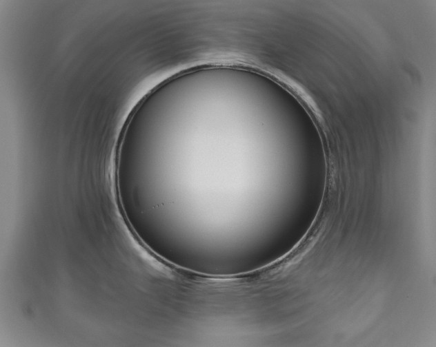 X0000111171343200907081207