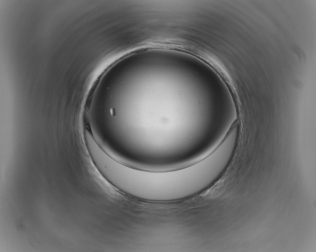 X0000111171344200907081207