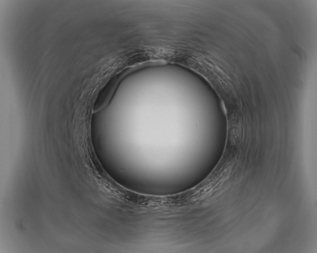 X0000111171345200907081206