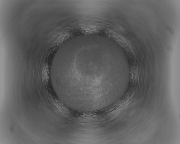 X0000111171346200907081206