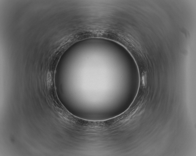 X0000111171347200907081206