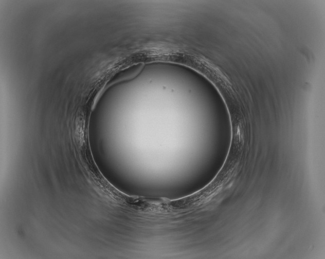 X0000111171348200907081206