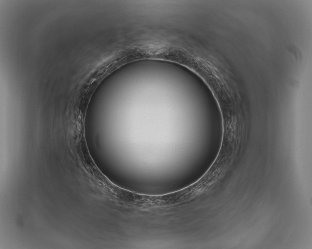 X0000111171349200907081206