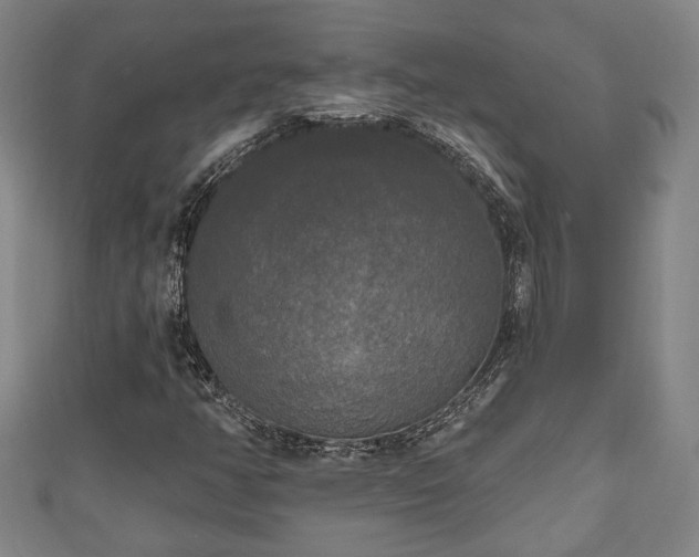 X0000111171350200907081206