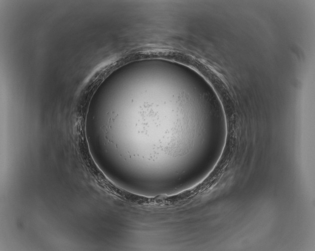 X0000111171351200907081206