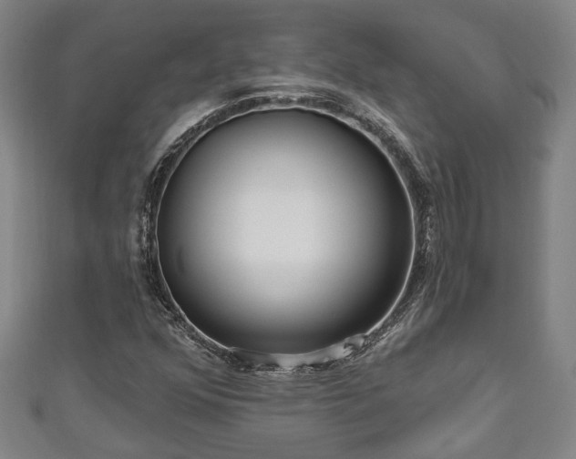 X0000111171352200907081206