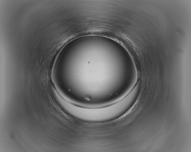 X0000111171353200907081206