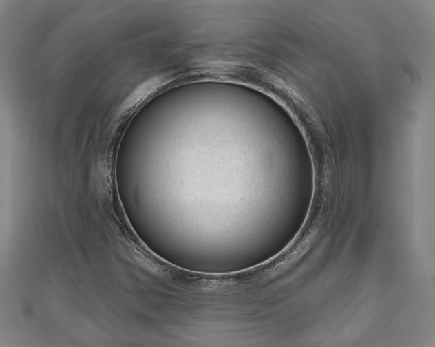 X0000111171354200907081206