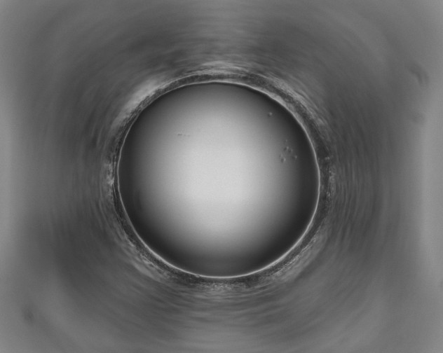 X0000111171355200907081206