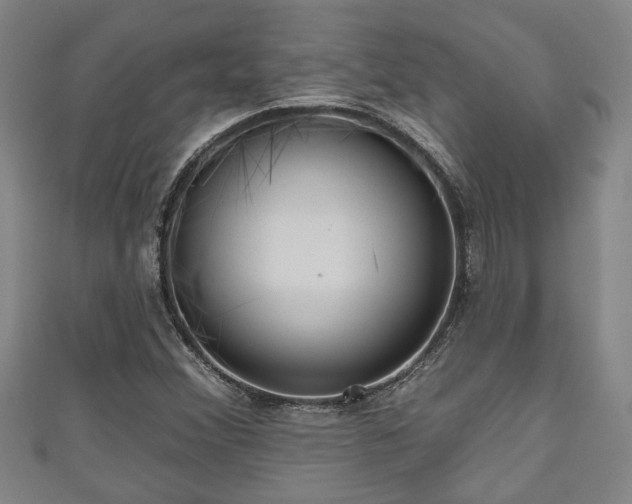 X0000111171356200907081206