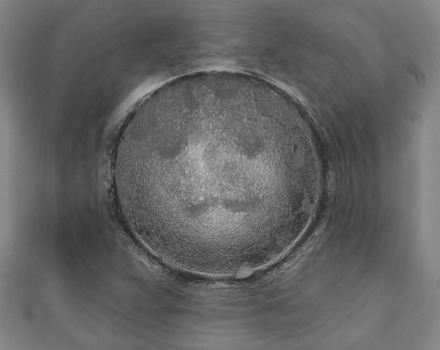 X0000111171359200907081206