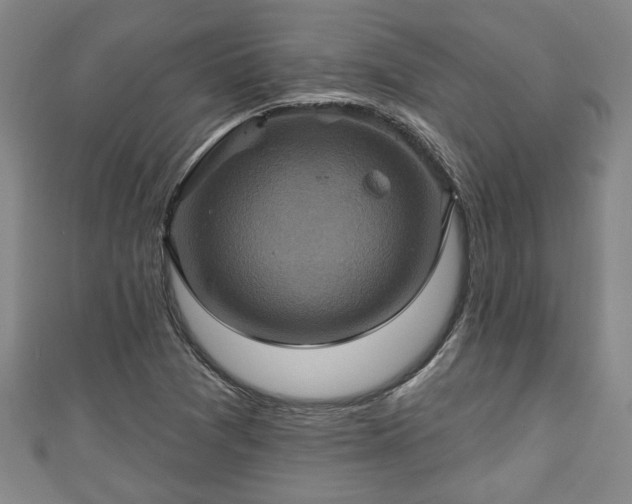 X0000111171361200907081206