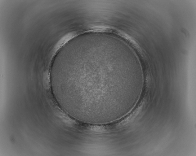 X0000111171362200907081206