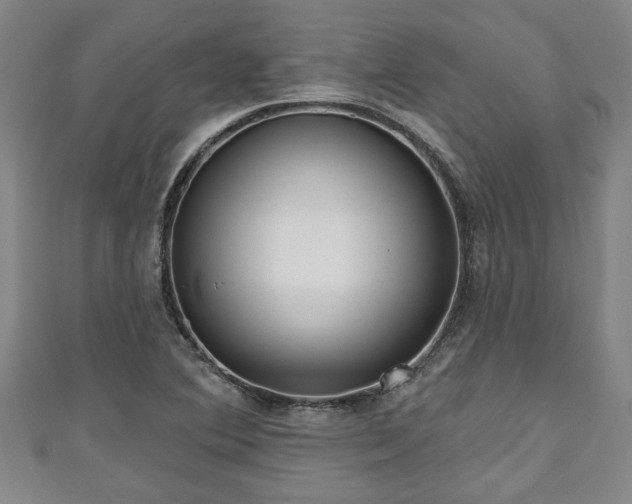 X0000111171364200907081206