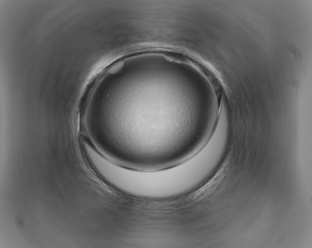 X0000111171365200907081206