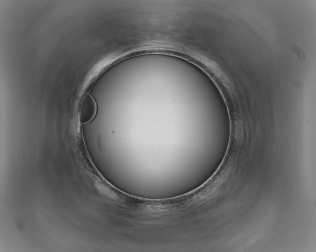 X0000111171366200907081206