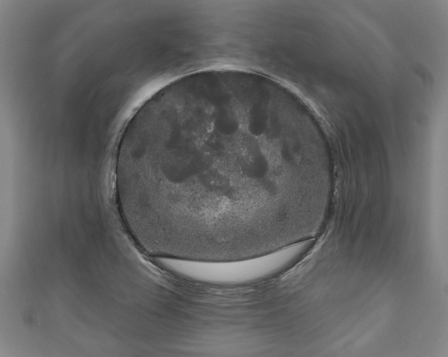 X0000111171367200907081206