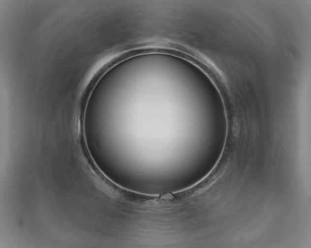 X0000111171368200907081206