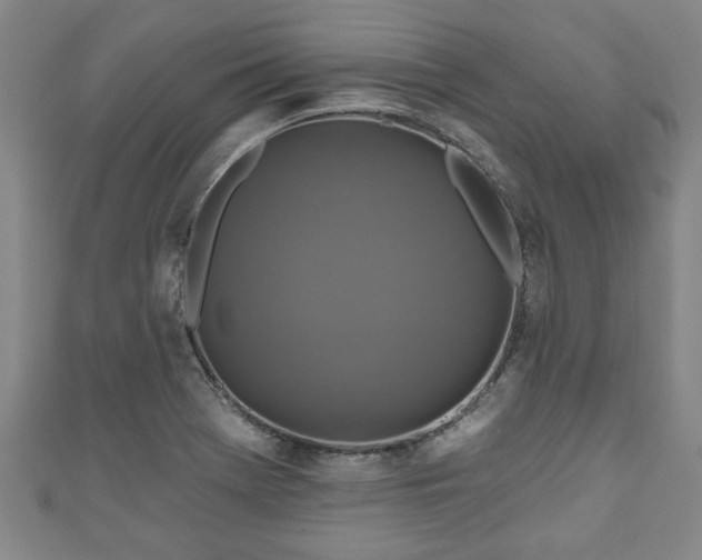 X0000111171369200907081206