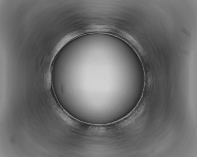 X0000111171370200907081206