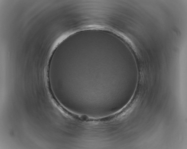 X0000111171373200907081206