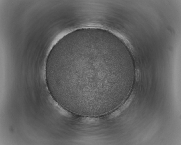 X0000111171374200907081206