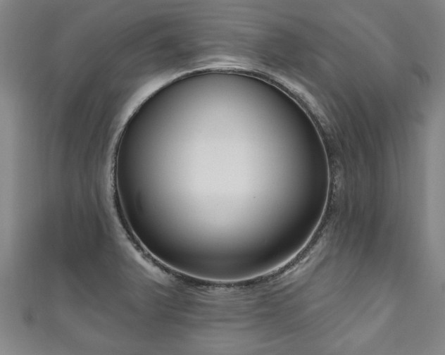 X0000111171375200907081206