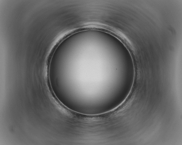 X0000111171376200907081206